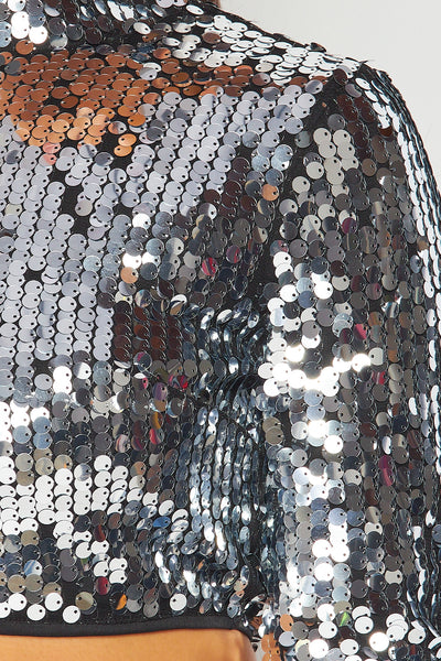 Emmy Mock Neck Sequins Long Sleeve Crop Top