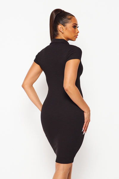 Countless Memories Collared Dress